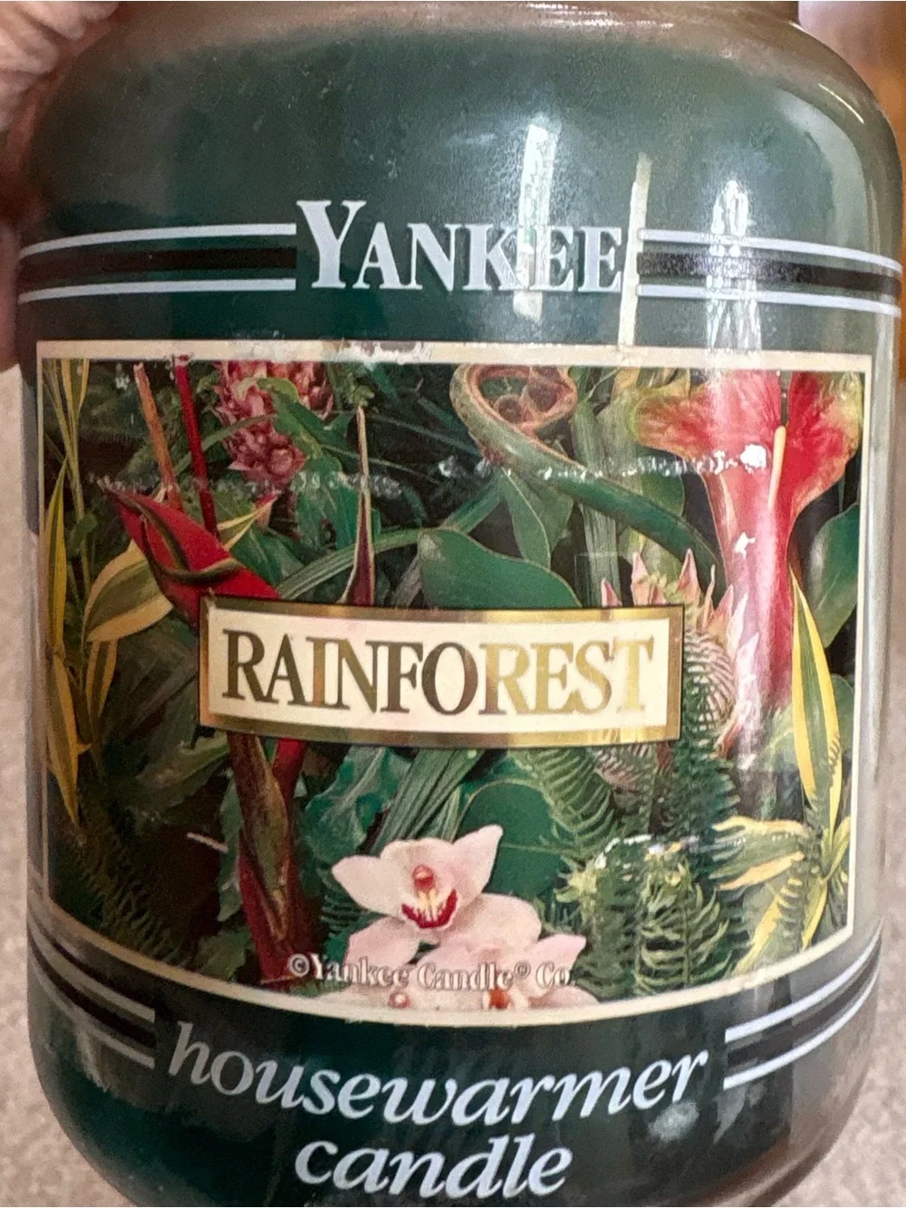 Yankee Candle 22oz Rainforest Black Band Unlit One Wick House Warmer Candle